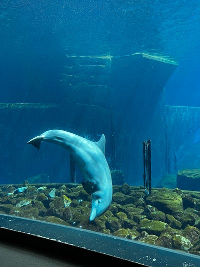 歐洲最大動物園之一